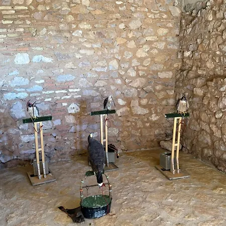 Parce Du Moulins Campeggio *
